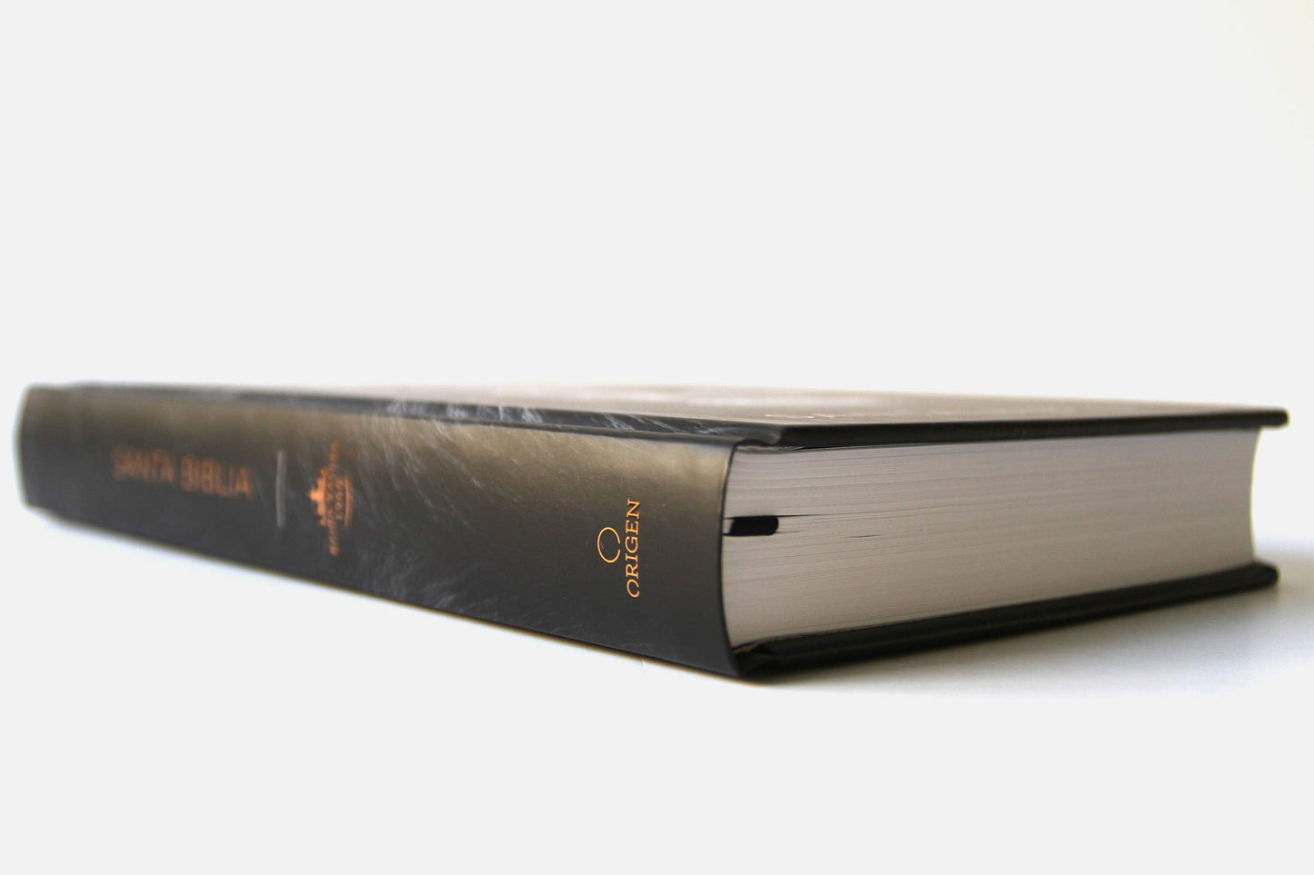 Biblia Leon de Juda Tamaño Manual Tapa Dura RVR1960