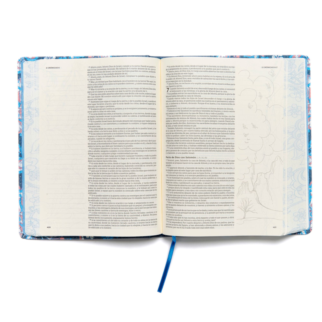 Biblia de Apuntes Edición Ilustrada Tela Rosado y Azul Versión RV1960