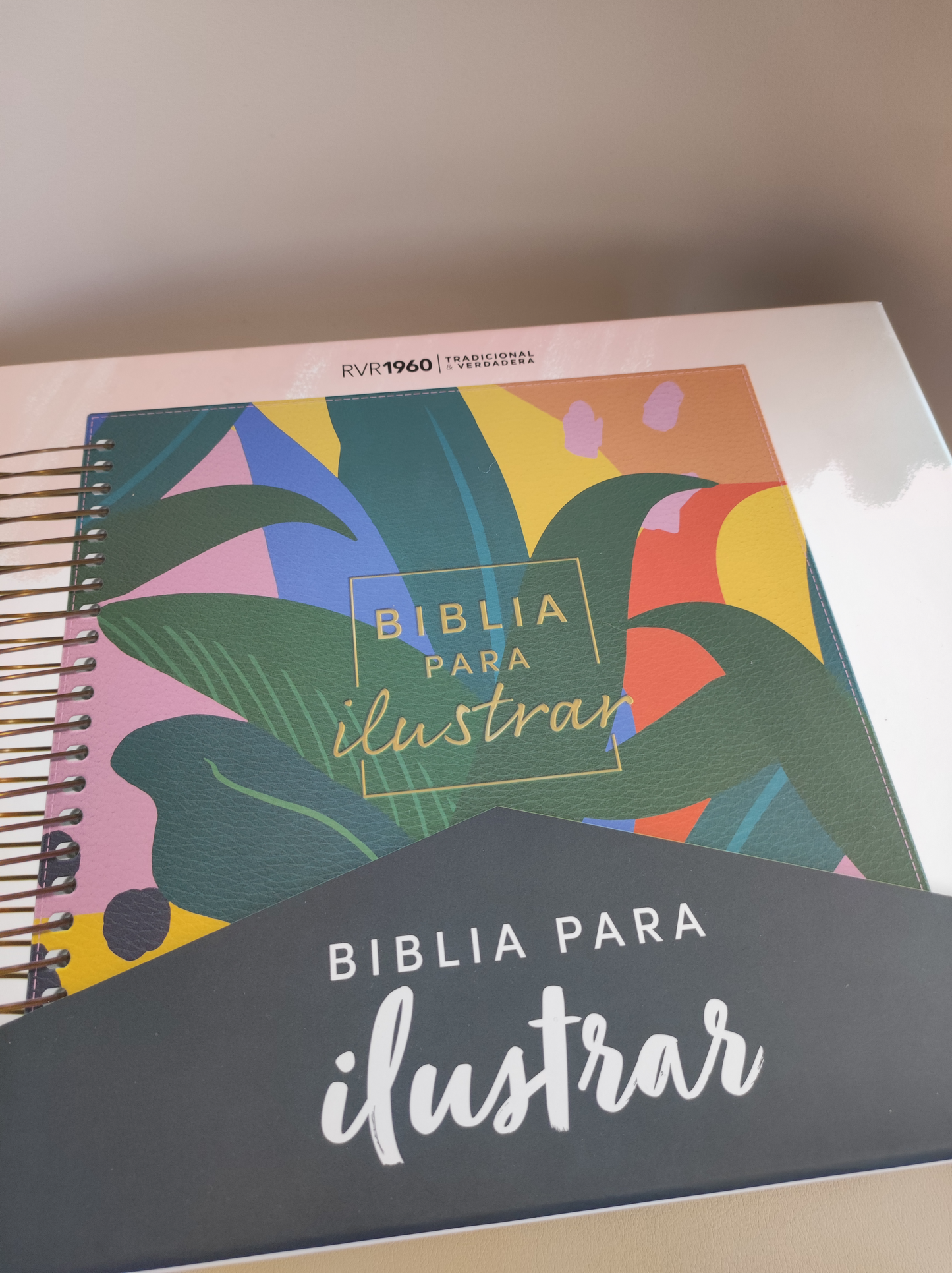 Biblia para Ilustrar versión Reina Valera 1960