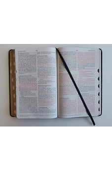 Biblia Leon de Juda Tamaño Manual Letra Grande Simil Piel RVR1960