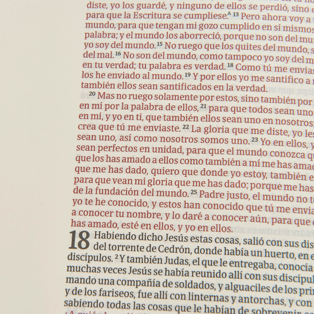 Biblia de Apuntes Edición Letra Grande piel mosaico crema y azul Versión RVR1960