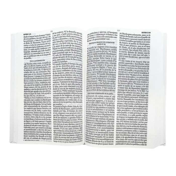 Biblia Lavanda Mariposa Letra Grande Tamaño Manual Tapa Flex RVR 1960